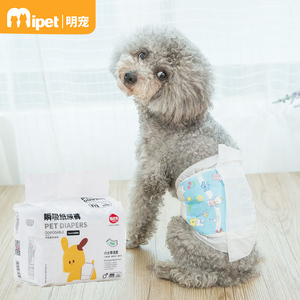 宠物纸尿裤小型 让爱宠生活更舒适，让主人更省心