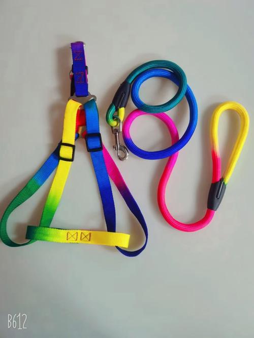 宠物用品新风尚 狗狗牵引绳与胸背带，走路也不撒手的底气